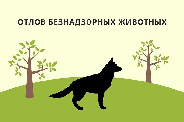 Об организации отлова животных без владельцев в 2023 году на территории Кировской области. Об организации отлова животных без владельцев в 2023 году на территории Кировской области.