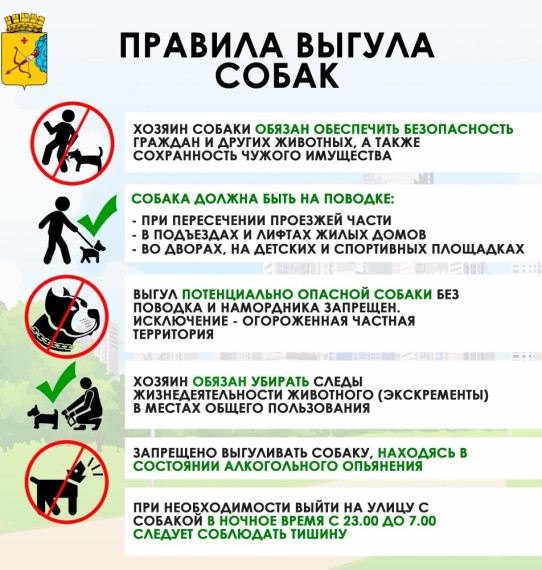 Правила выгула собак. Правила выгула собак.