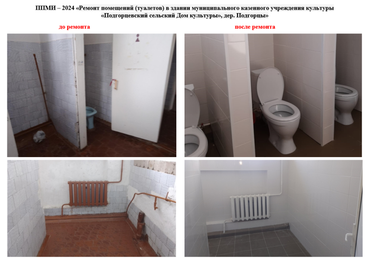 ППМИ-2024 д. Подгорцы. ППМИ-2024 д. Подгорцы.